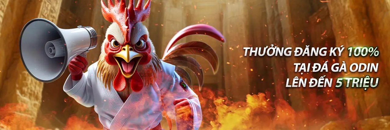 Hình ảnh tổng quan về tin tức mới nhất của neww 88 với các hoạt động cá cược trực tuyến sôi động